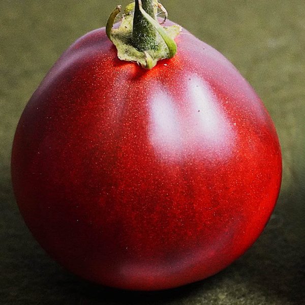 T490 Blue Pear (Sinyaya Grusha)