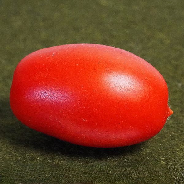 T813 DG San Pizzuolo