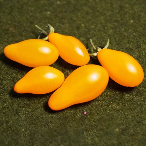 T870 Micro Birnchen