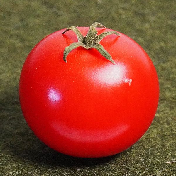 T868 Red Robin
