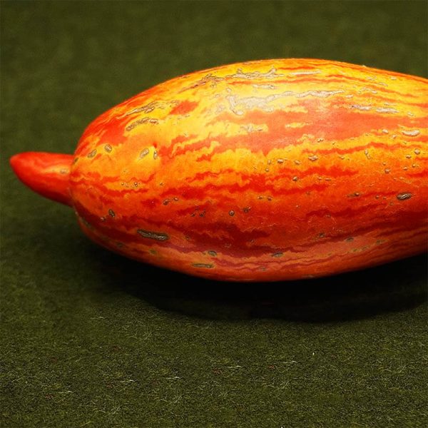 T275 Speckled Roman