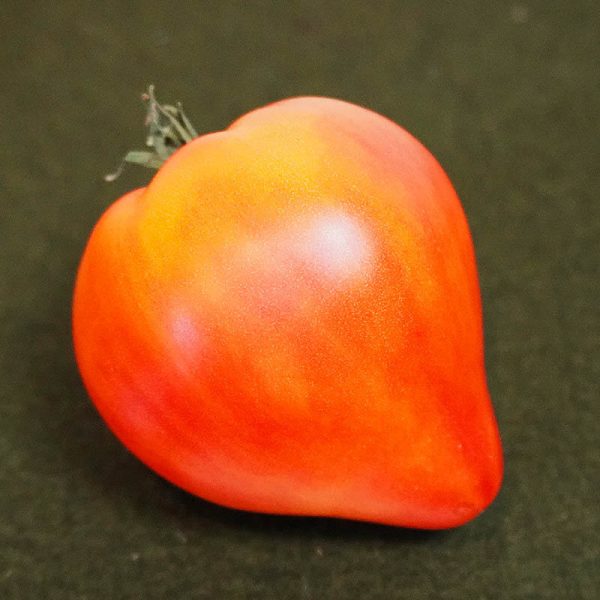 T914 Ukrainische rot-orange Tomate