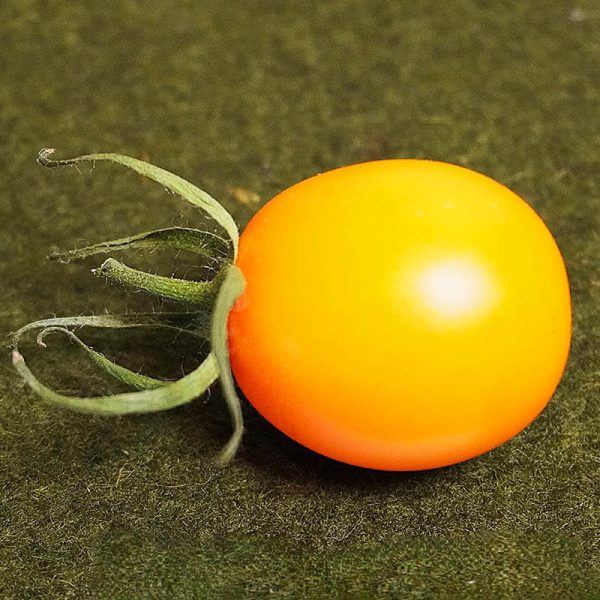 T923 Unbekannt II