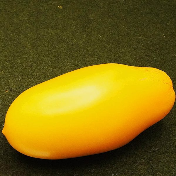 Yellow Plum