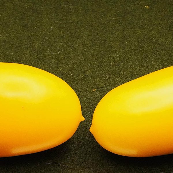 T201 Yellow Plum